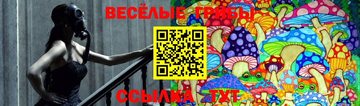 Галлюциногенные грибы Psilocybine cubensis Россошь